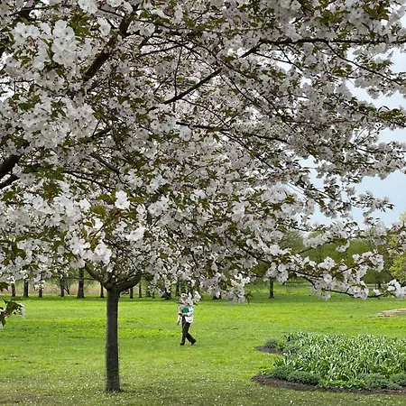 Апартаменты Cozy Place On The Left Bank *