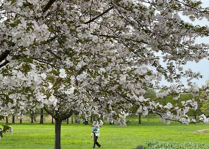 Dzīvoklis Cozy Place On The Left Bank *